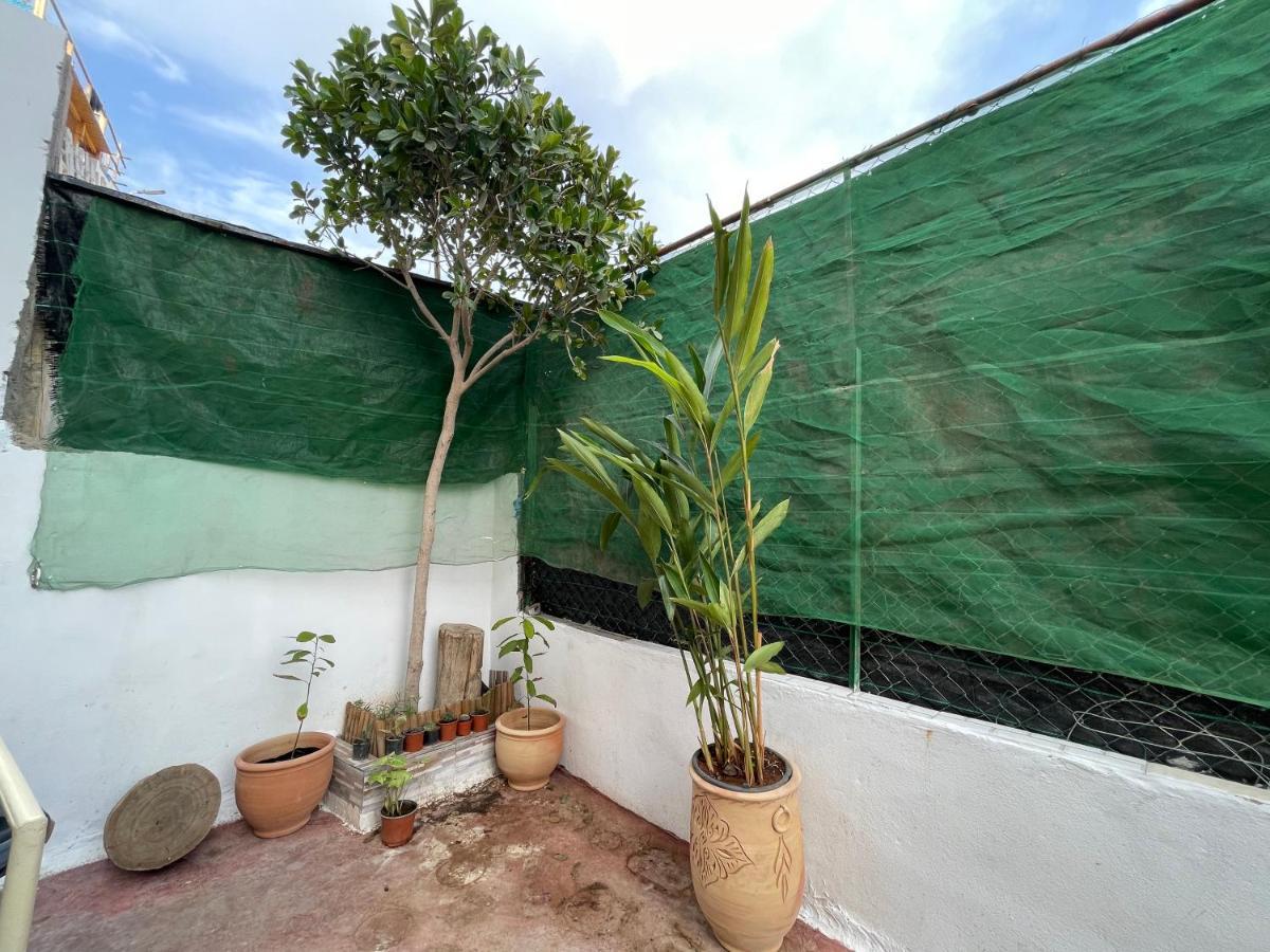 بيت شباب Jungle Surf House تغازوت المظهر الخارجي الصورة