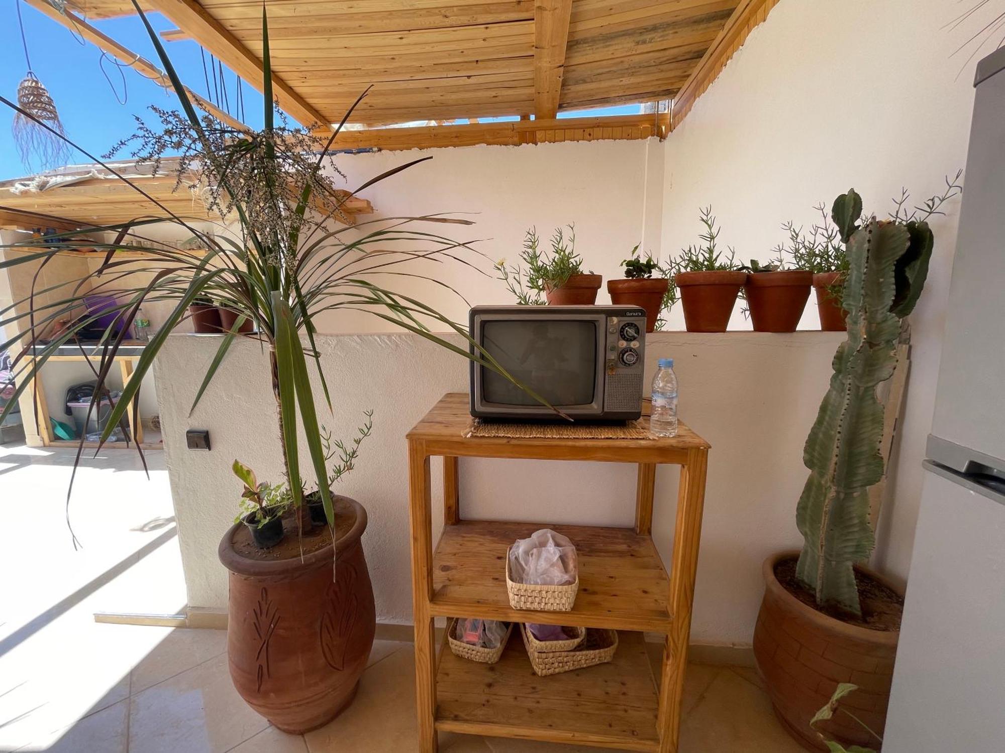 بيت شباب Jungle Surf House تغازوت المظهر الخارجي الصورة