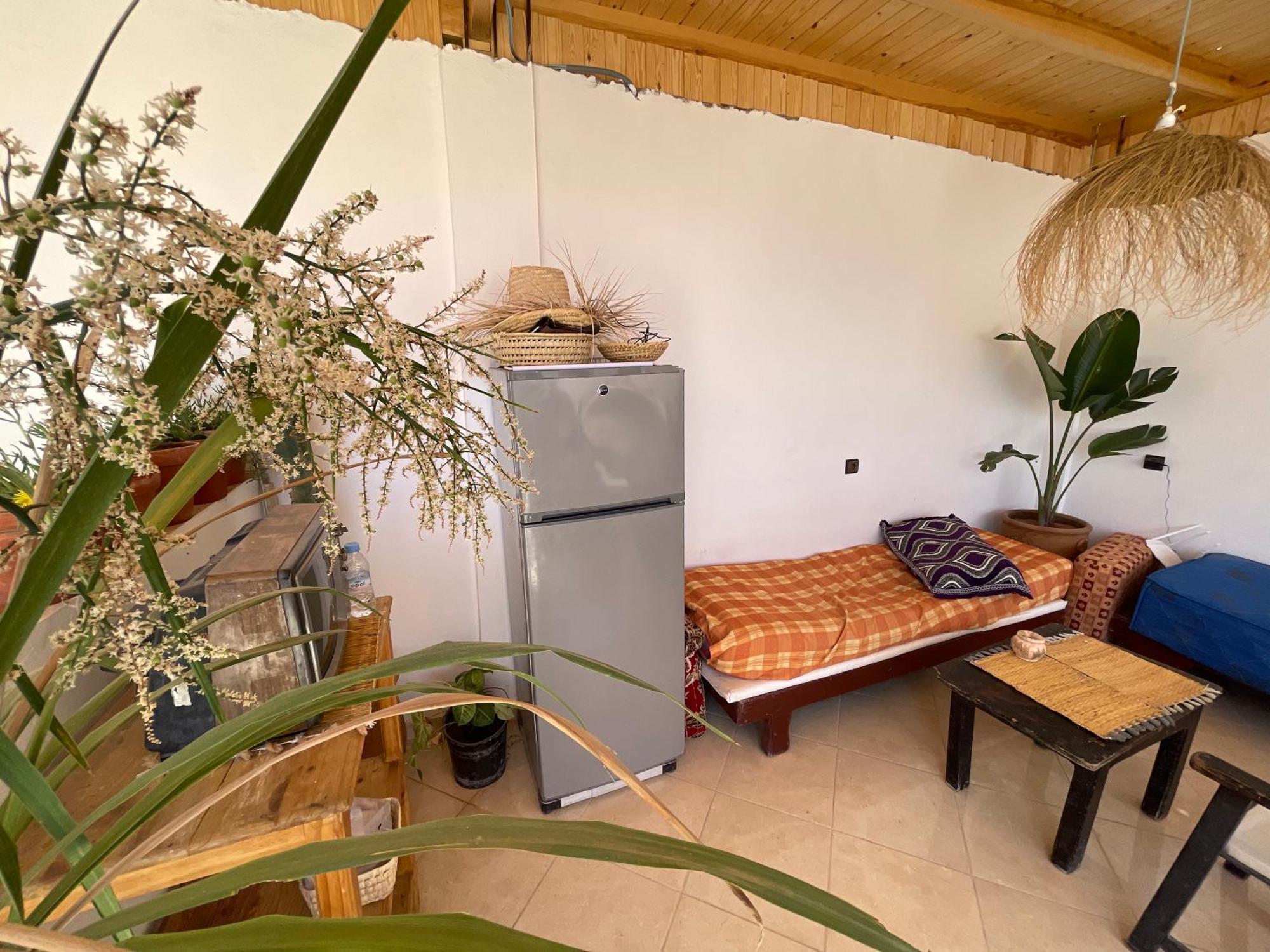 بيت شباب Jungle Surf House تغازوت المظهر الخارجي الصورة