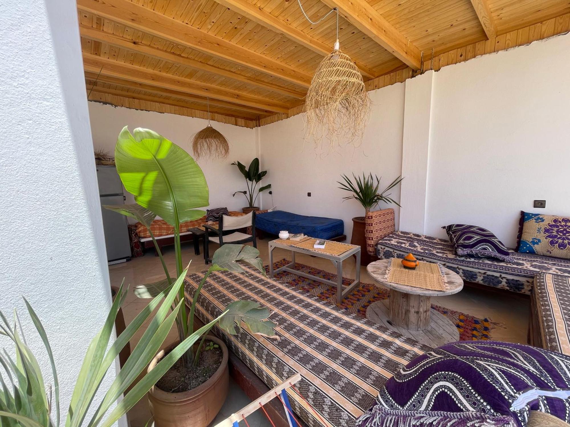بيت شباب Jungle Surf House تغازوت المظهر الخارجي الصورة